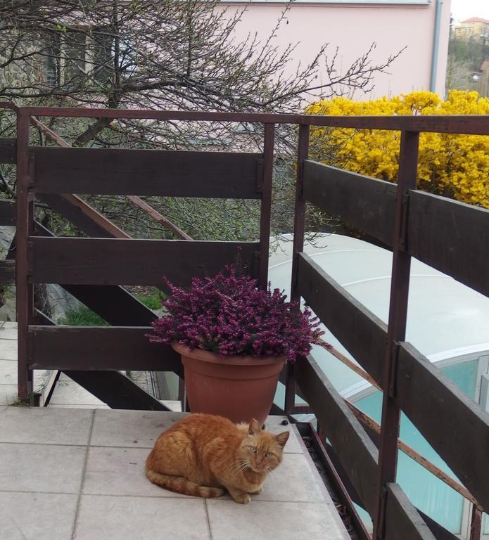 Apartmany U Kocek Tábor Exterior foto